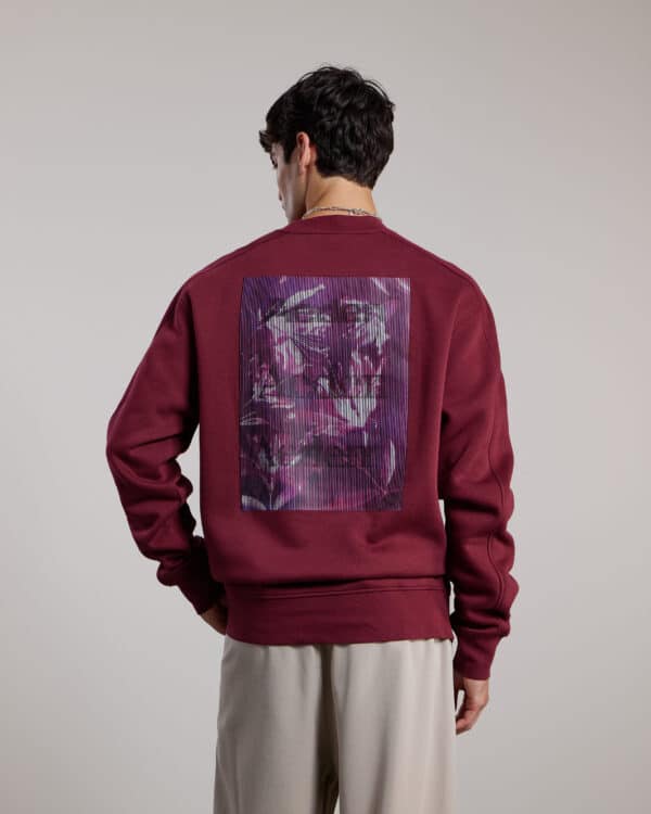Aeden Trui - Milon Sweater Bordeaux
